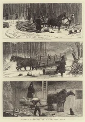 カナダの農場での冬のスケッチ